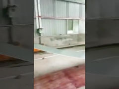 18-20 rullo delle stazioni che forma macchina per l'acciaio del pannello 45# della guardavia